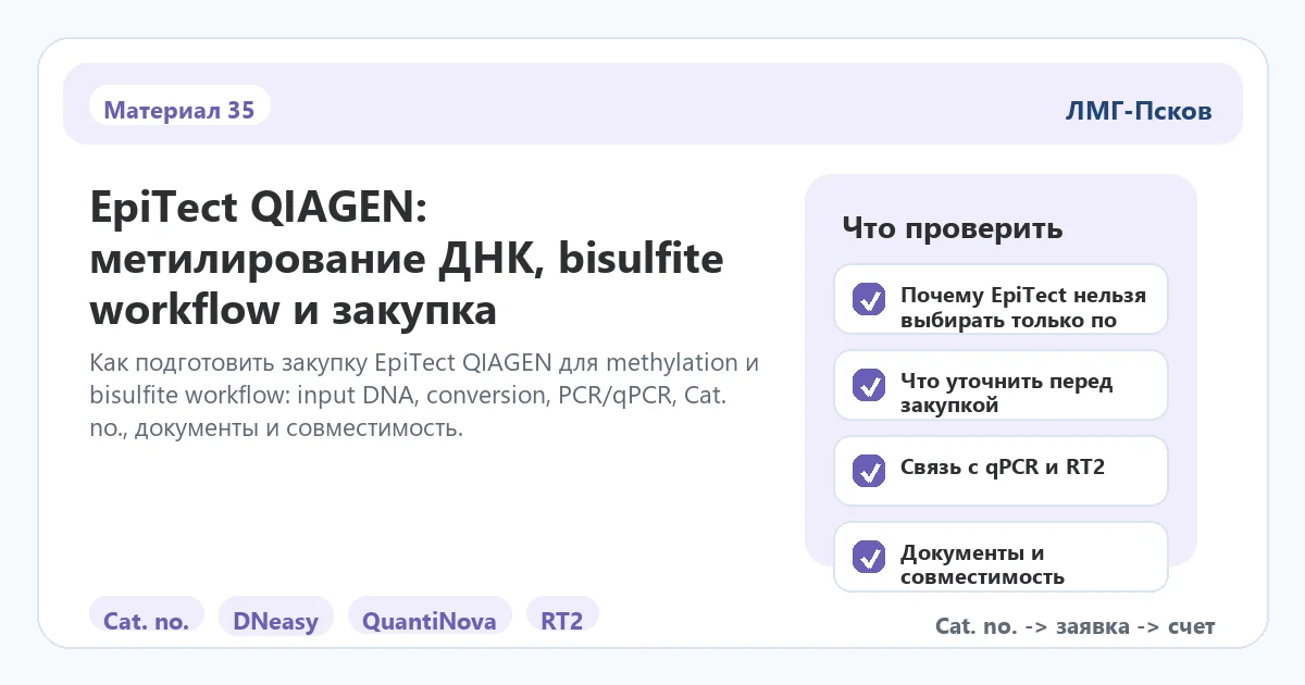 Инфографика к статье: EpiTect QIAGEN: метилирование ДНК, bisulfite workflow и закупка